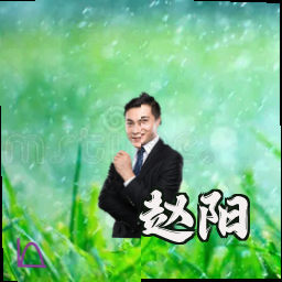 赵阳